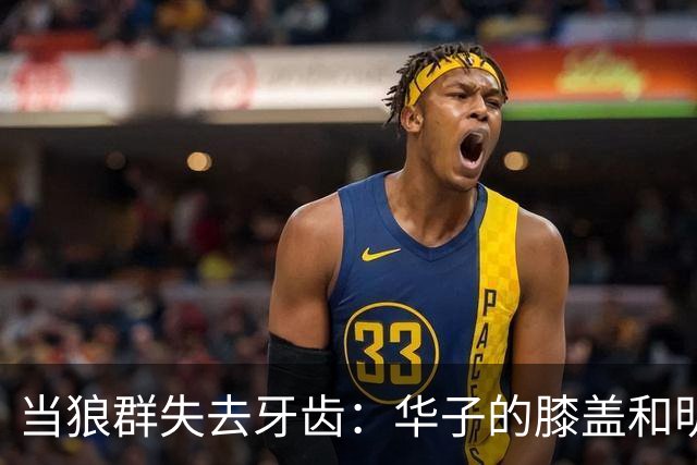 当狼群失去牙齿：华子的膝盖和明天的千回百转